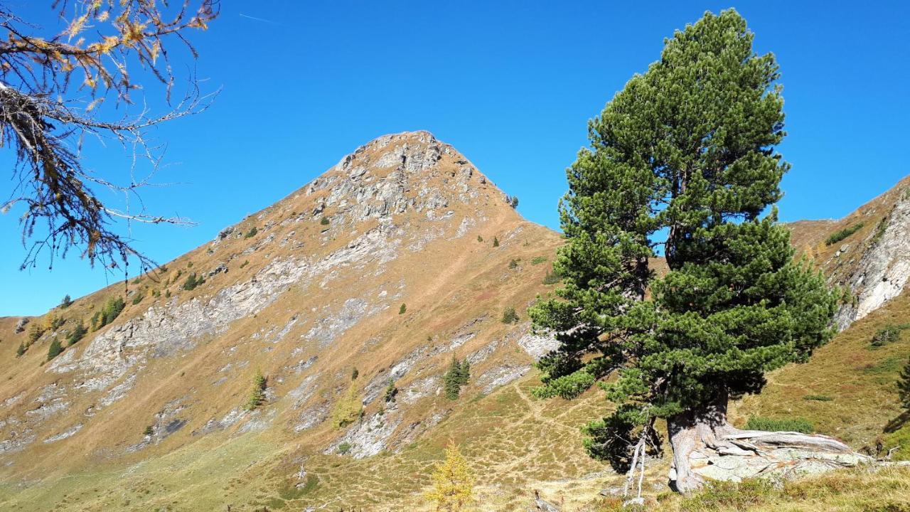 Blockhaus Ganschitter Daire Grossarl Dış mekan fotoğraf